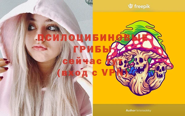 шишки Абдулино