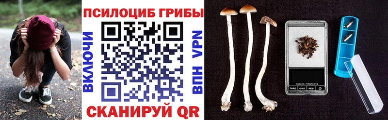 Псилоцибиновые грибы мухоморы Адыгейск